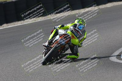 media/Oct-12-2025-CRA (Sun) [[e621380112]]/Races/Race 10/